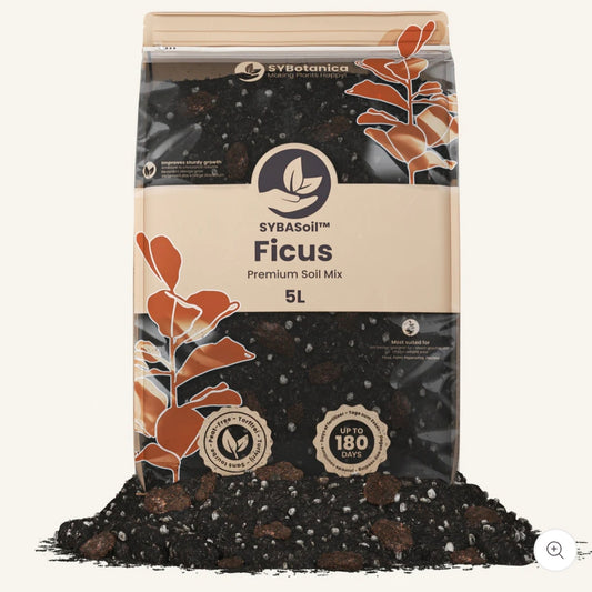 Soil Mix - Ficus 5L