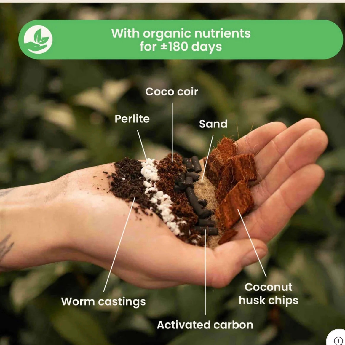 Soil Mix - Ficus 5L