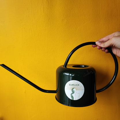 Houseplant Watering Can