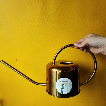 Houseplant Watering Can