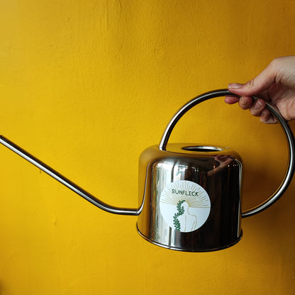 Houseplant Watering Can