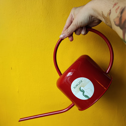 Houseplant Watering Can