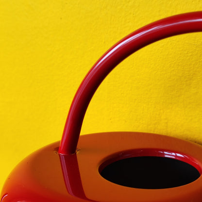 Houseplant Watering Can