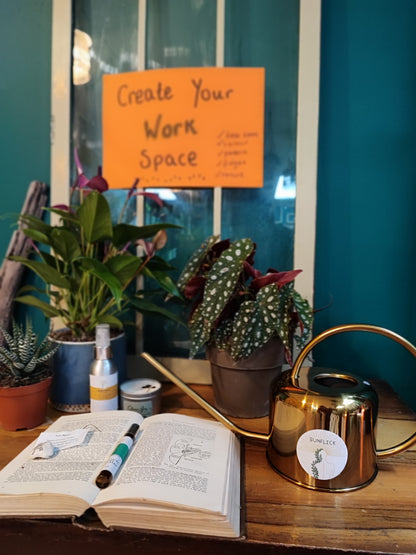 Houseplant Watering Can