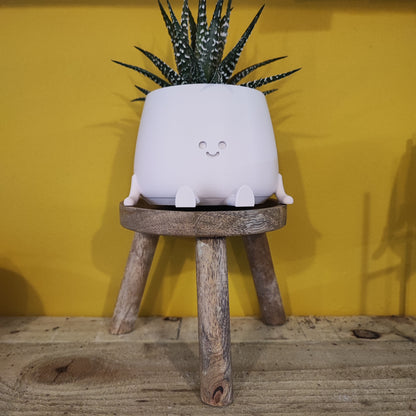 Plant Stands- Wooden Foot