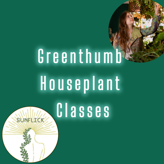 Greenthumb Classes🪴