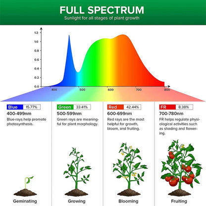 Light Bulb Full Spectrum PAR20 10W LED