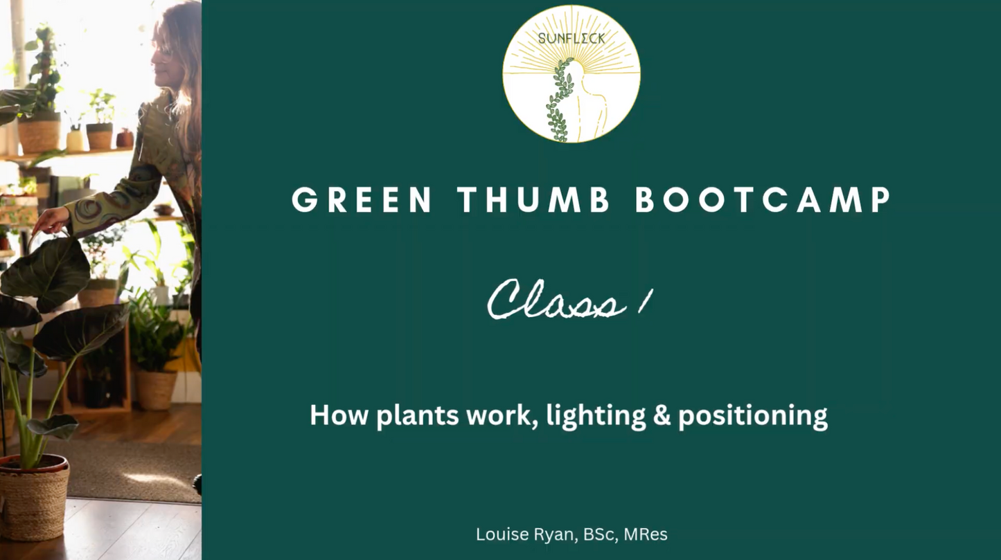 Greenthumb Classes🪴