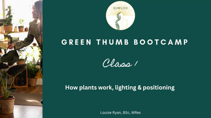 Greenthumb Classes🪴