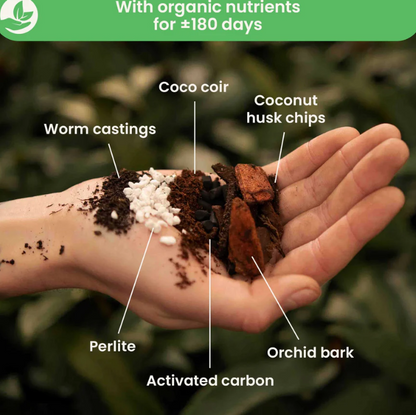 Soil Mix - Anthurium (Flamingo flower)