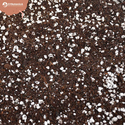 Soil Mix - Universal (Most Houseplants!)