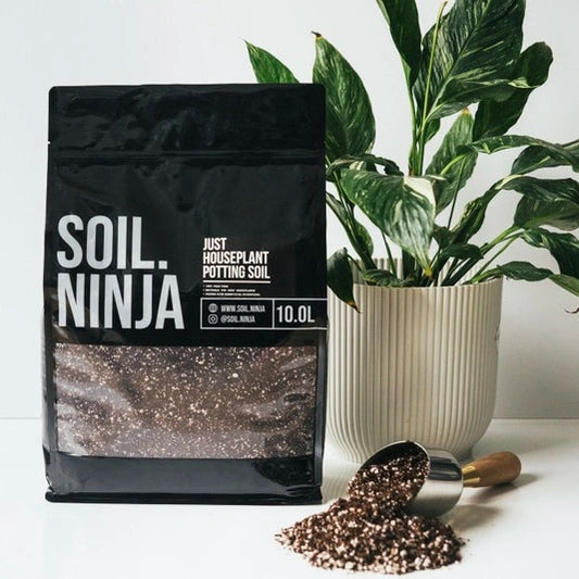 Soil Mix - Universal (Most Houseplants!)