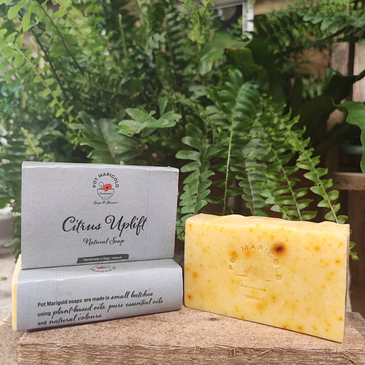 Citrus Uplift Natural Soap
